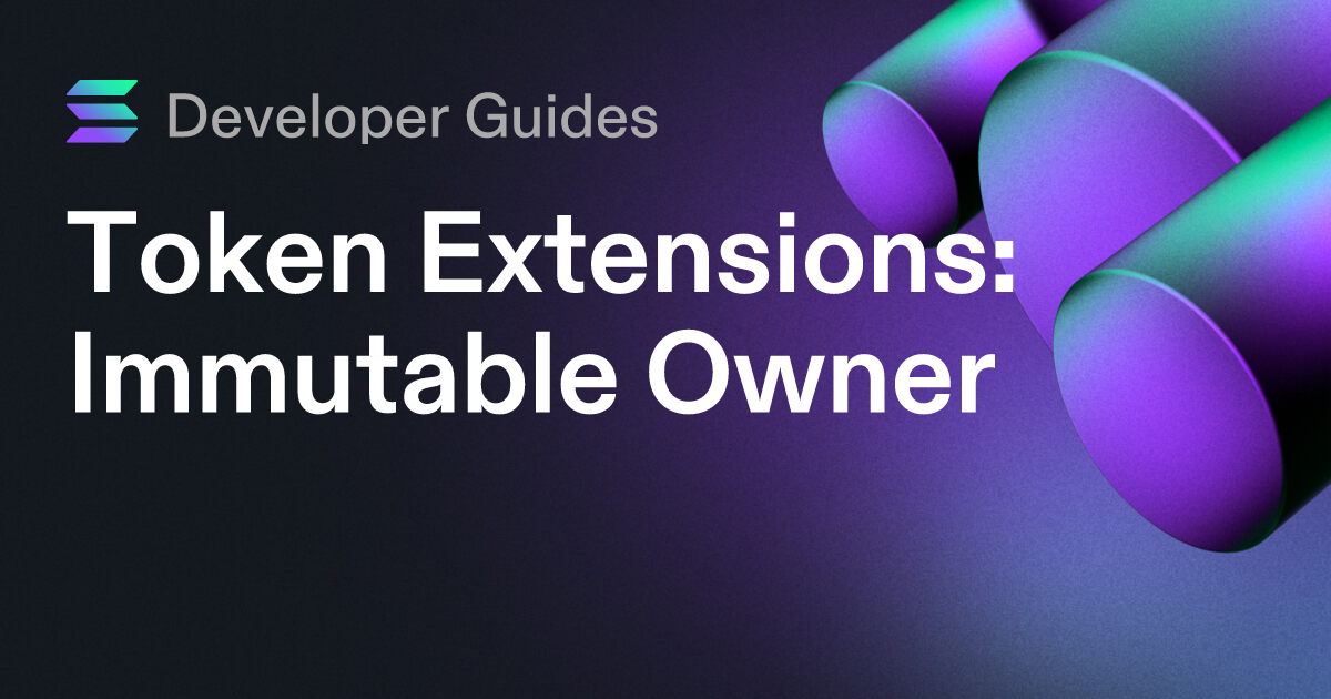 How to use the Immutable Owner extension